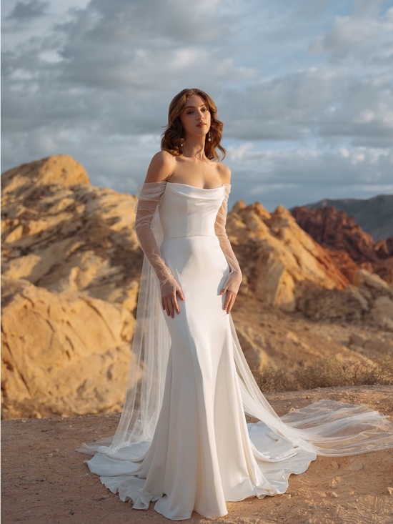 Jenny Yoo Dresses & Skirts - Jenny Yoo Olivia Dress Preowned bridal size 10/US 6